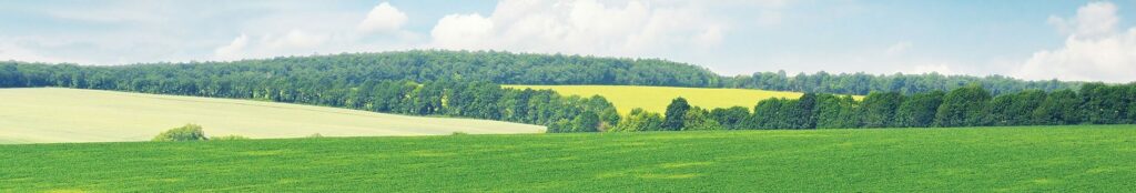 field-with-trees