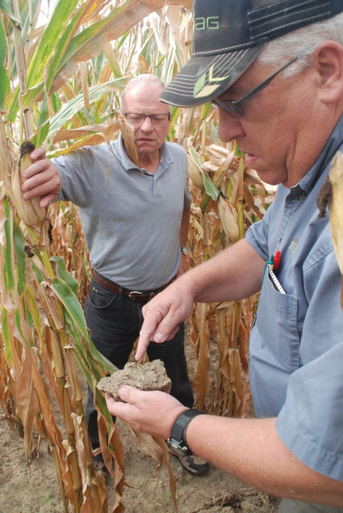 Tom Scarponcini_Mike Lovelien in corn field