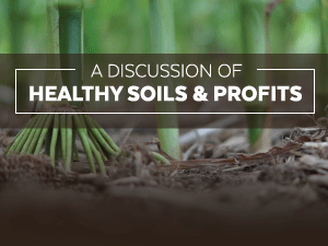 healthy soils and profit