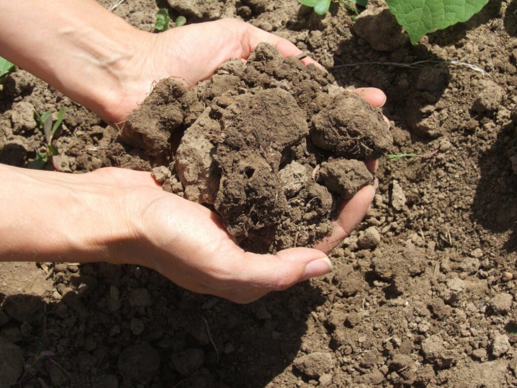 Soil at Gary's Farm