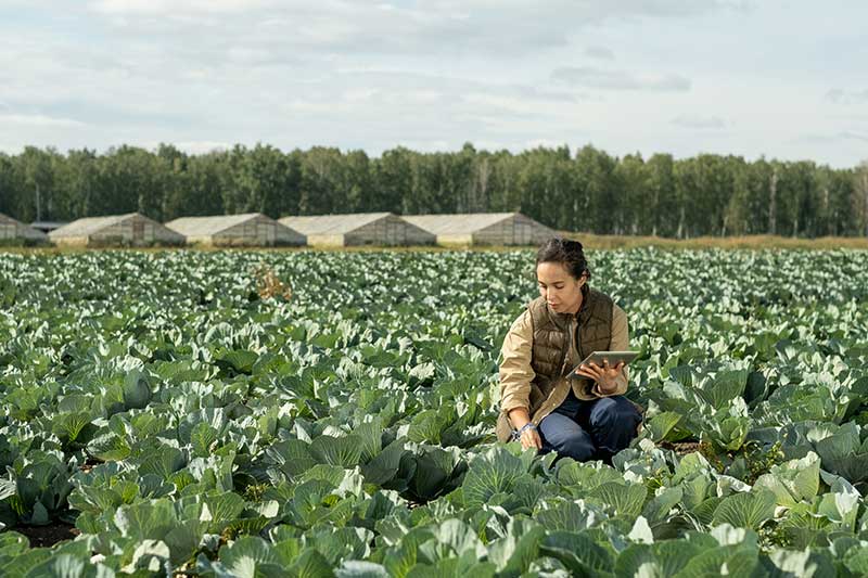 MBA Ag Research