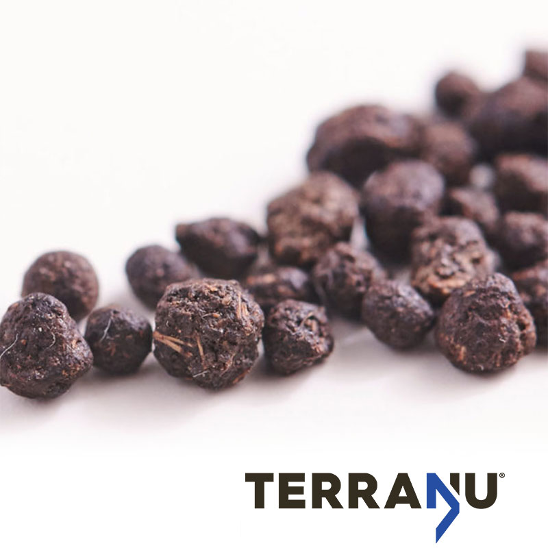 TerraNu Photo
