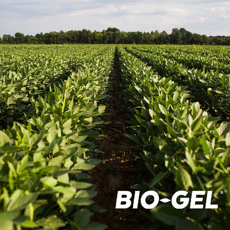 BioGel Crops