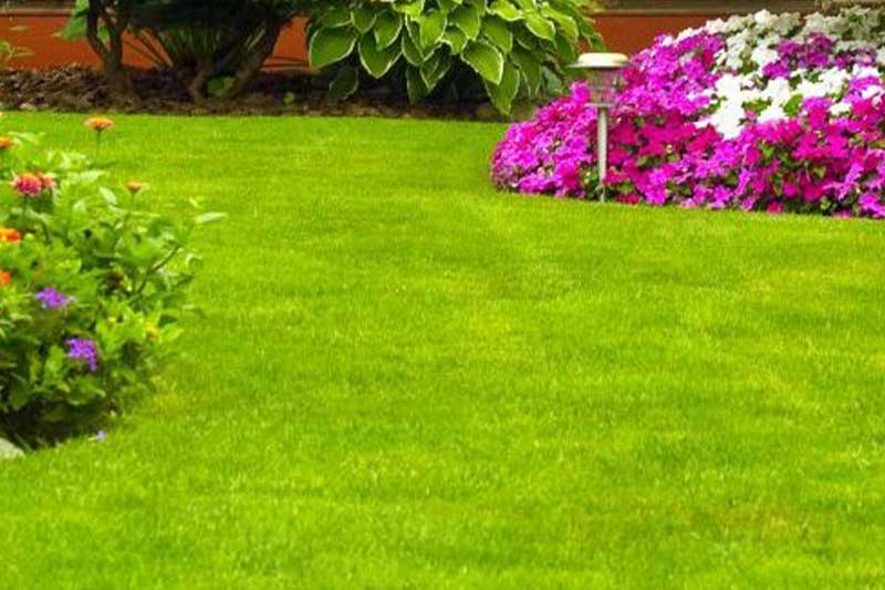 Midwestern BioAg Residential Products
