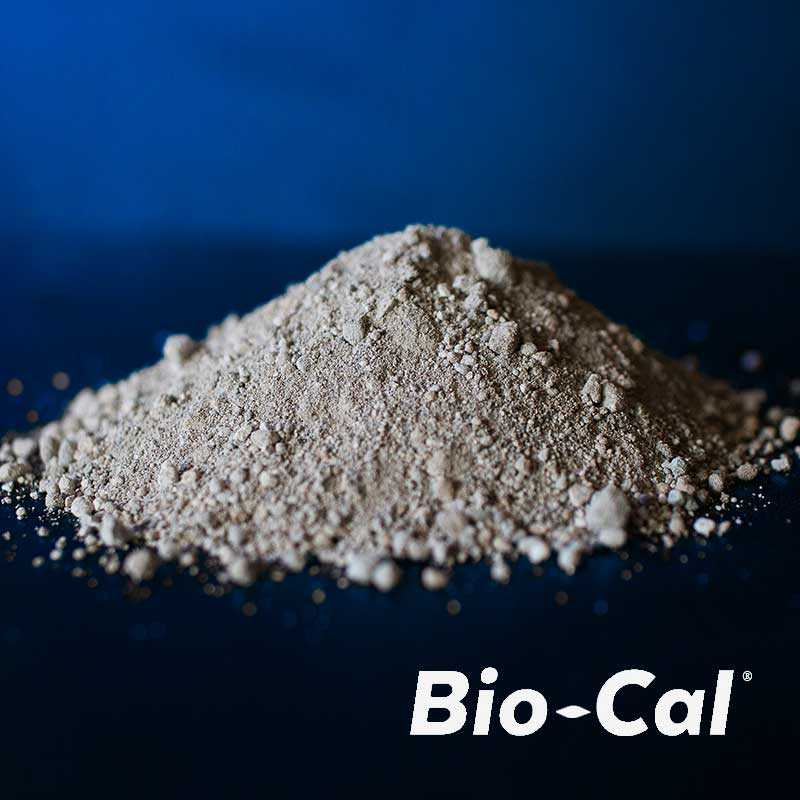 BioCal Pile
