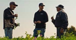 standing in alfalfa field